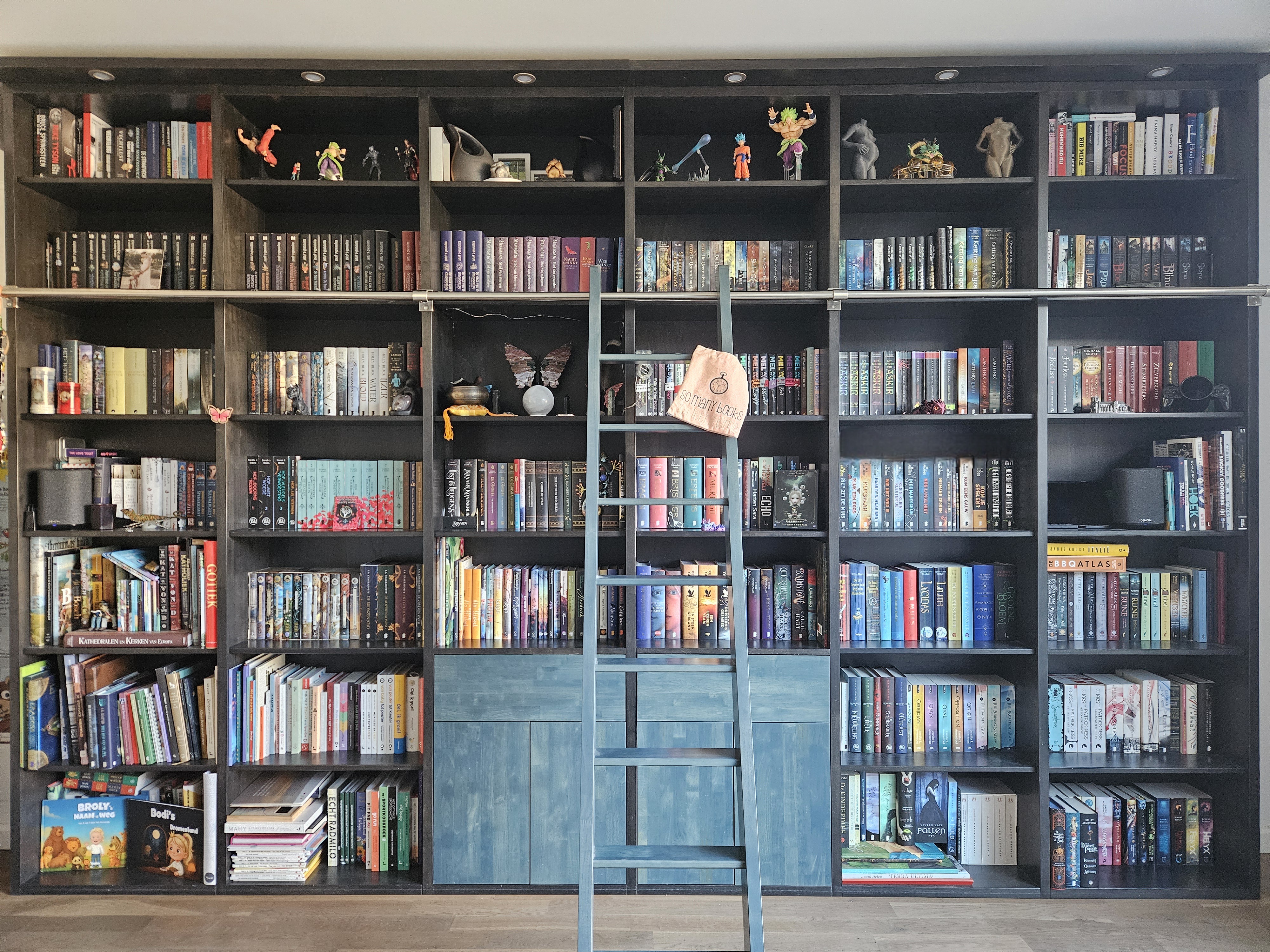 Een van de boekenkasten van Ilse