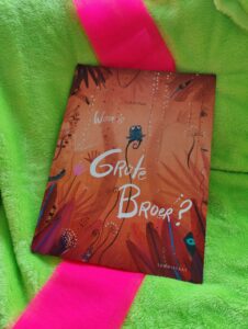 Waar is grote broer? – Linde Faas