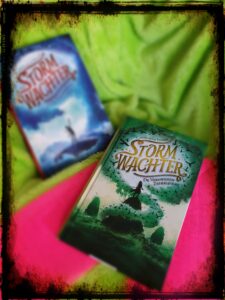 Stormwachter trilogie Deel 2 – De verdwenen zeekrijgers – Catherine Doyle