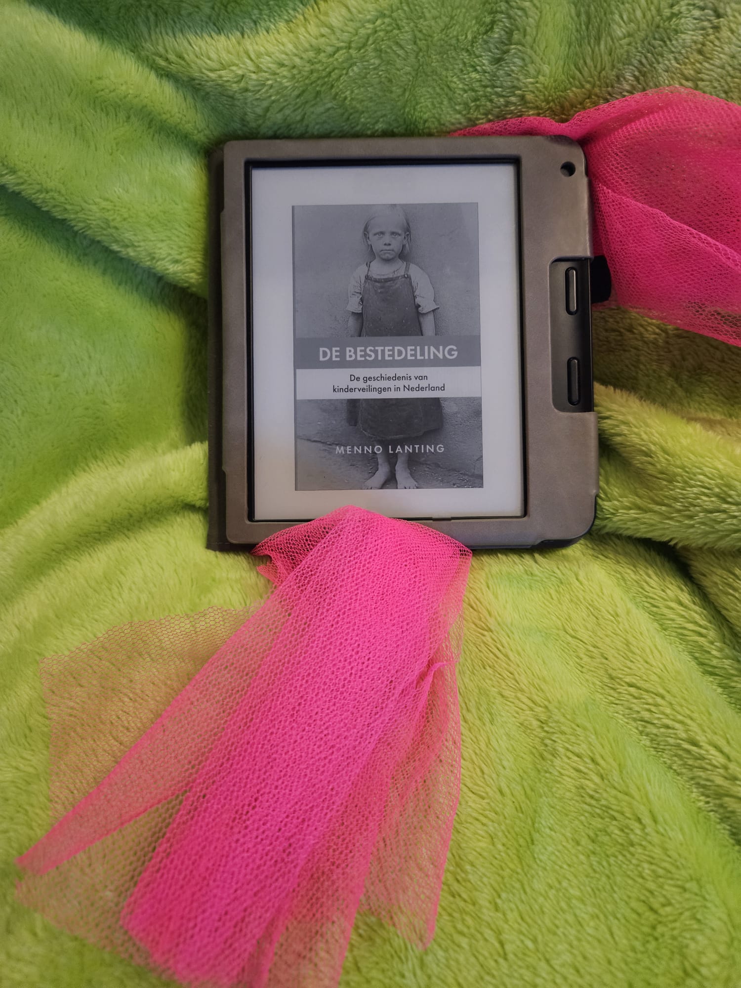 De bestedeling, de geschiedenis van kinderveilingen in Nederland – Menno Lanting