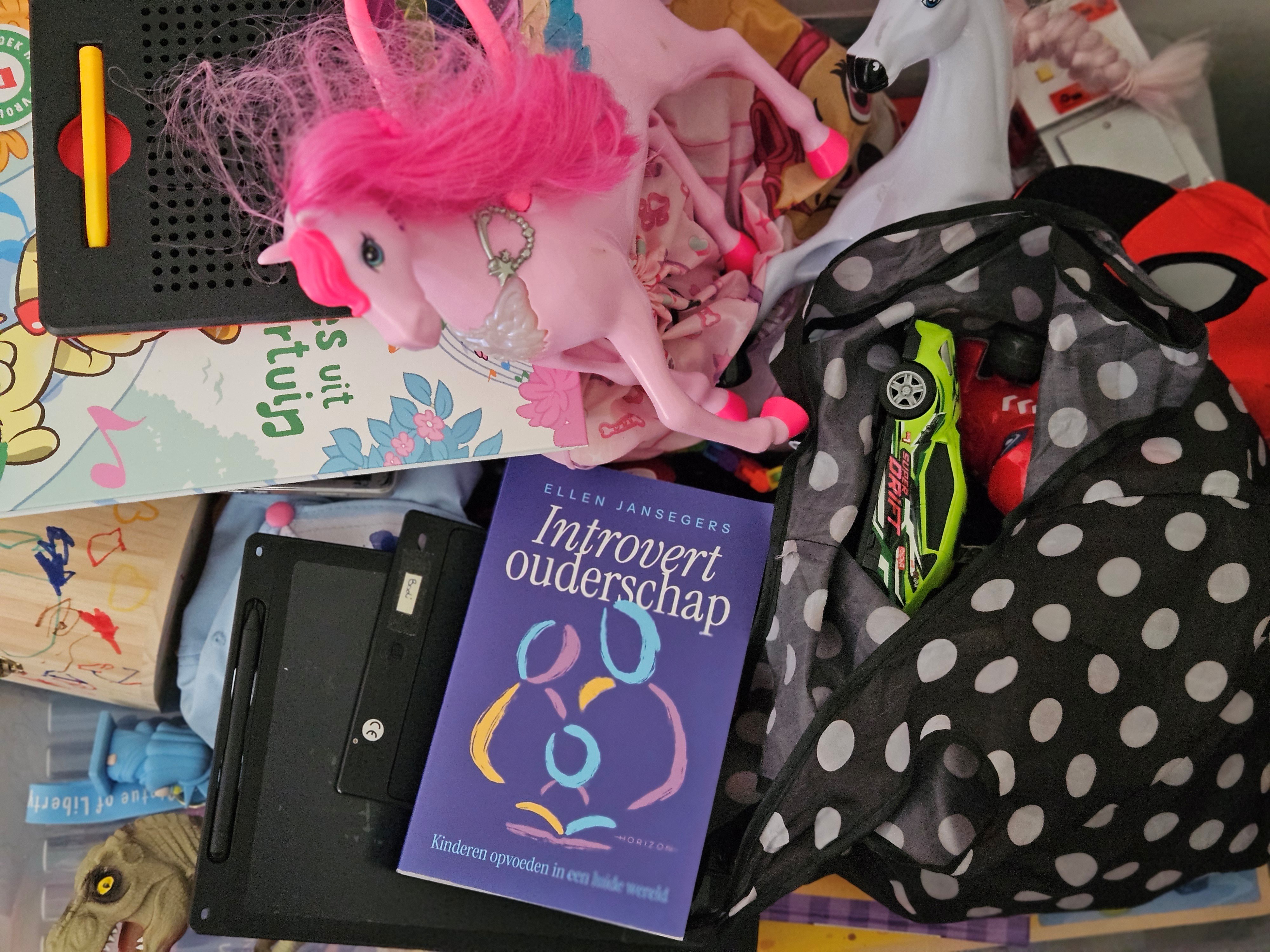 Introvert ouderschap - Ellen Jansegers