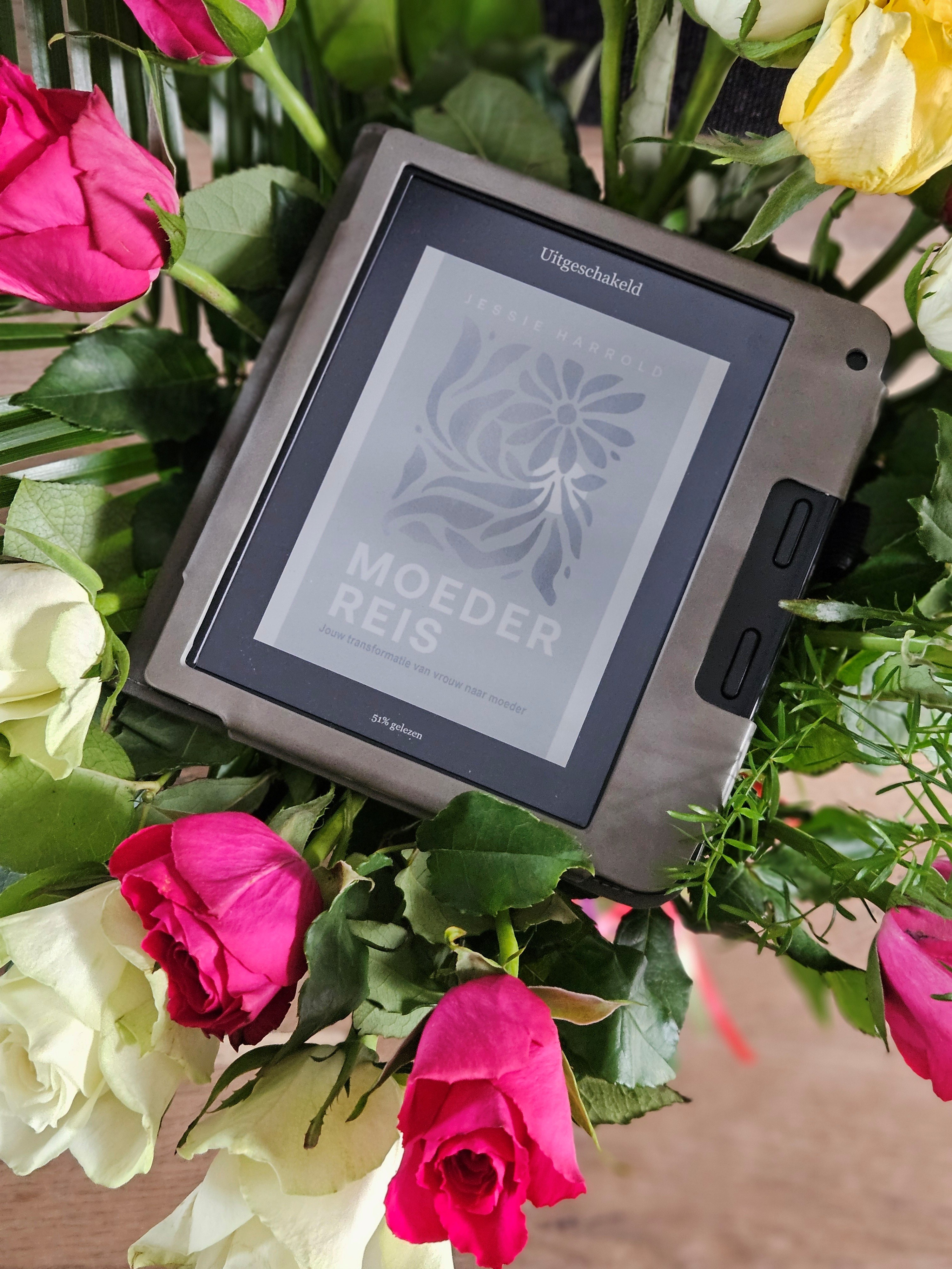 Moederreis - Jessie Harrold