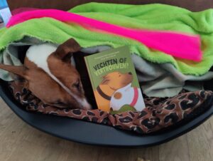 Vechten of vertrouwen – Anastasia Melnytjenko