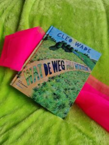 Wat de weg mij vertelde – Cleo Wade