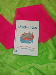 Dogfulness – Paolo Valentino