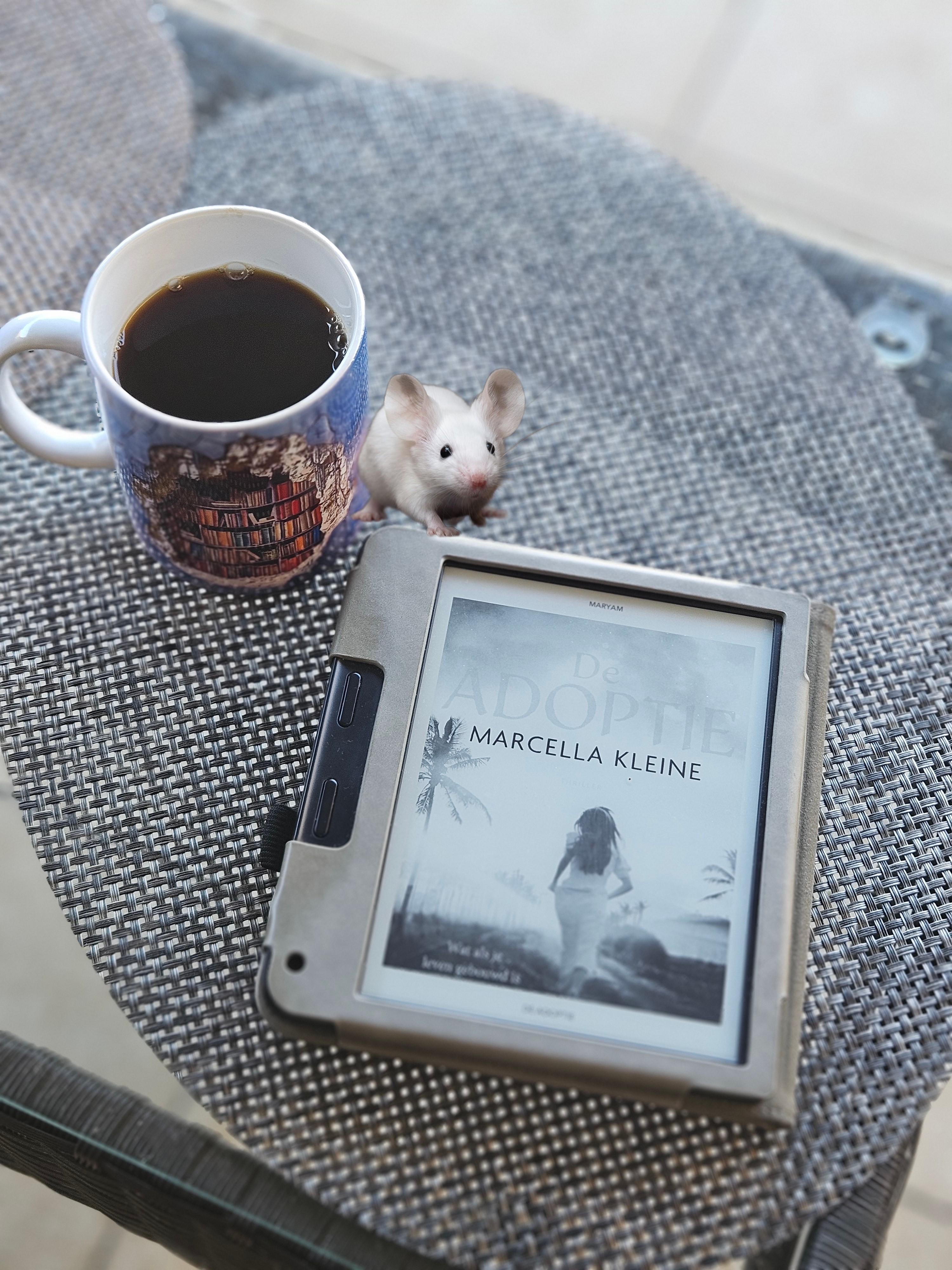 BLOGTOUR - De Adoptie - Marcella Kleine