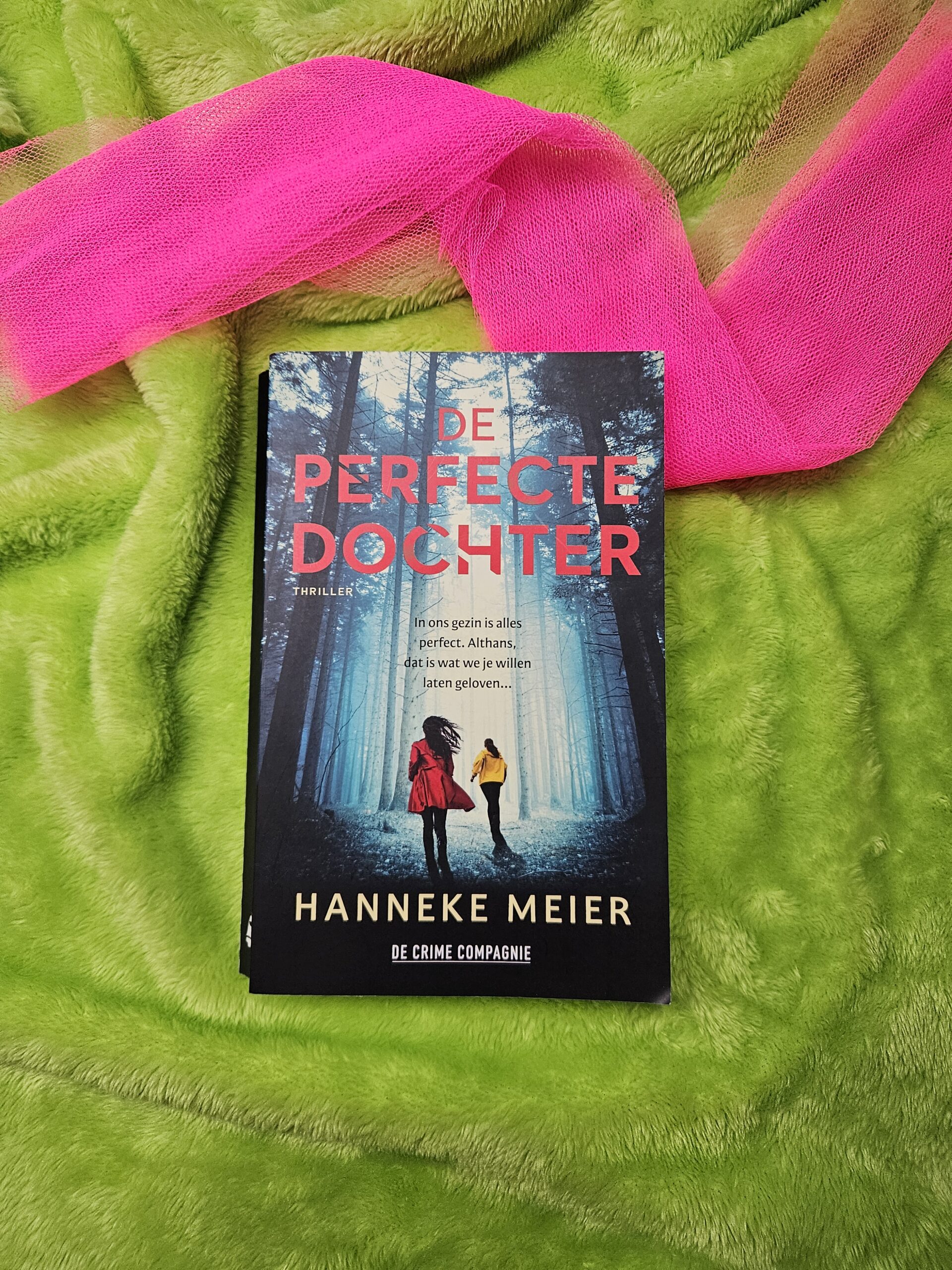 De perfecte dochter – Hanneke Meier