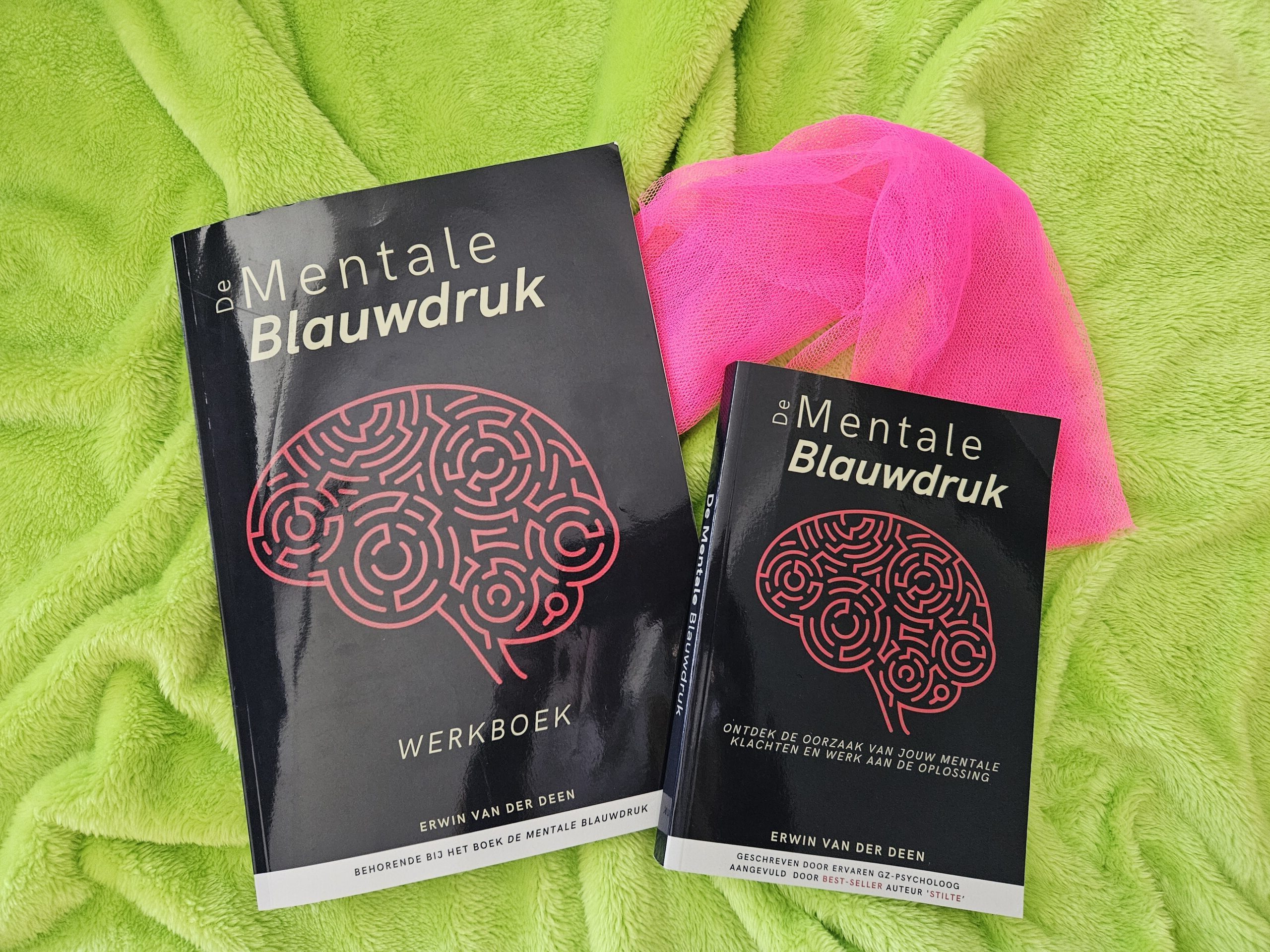 De mentale blauwdruk – Erwin van der Deen